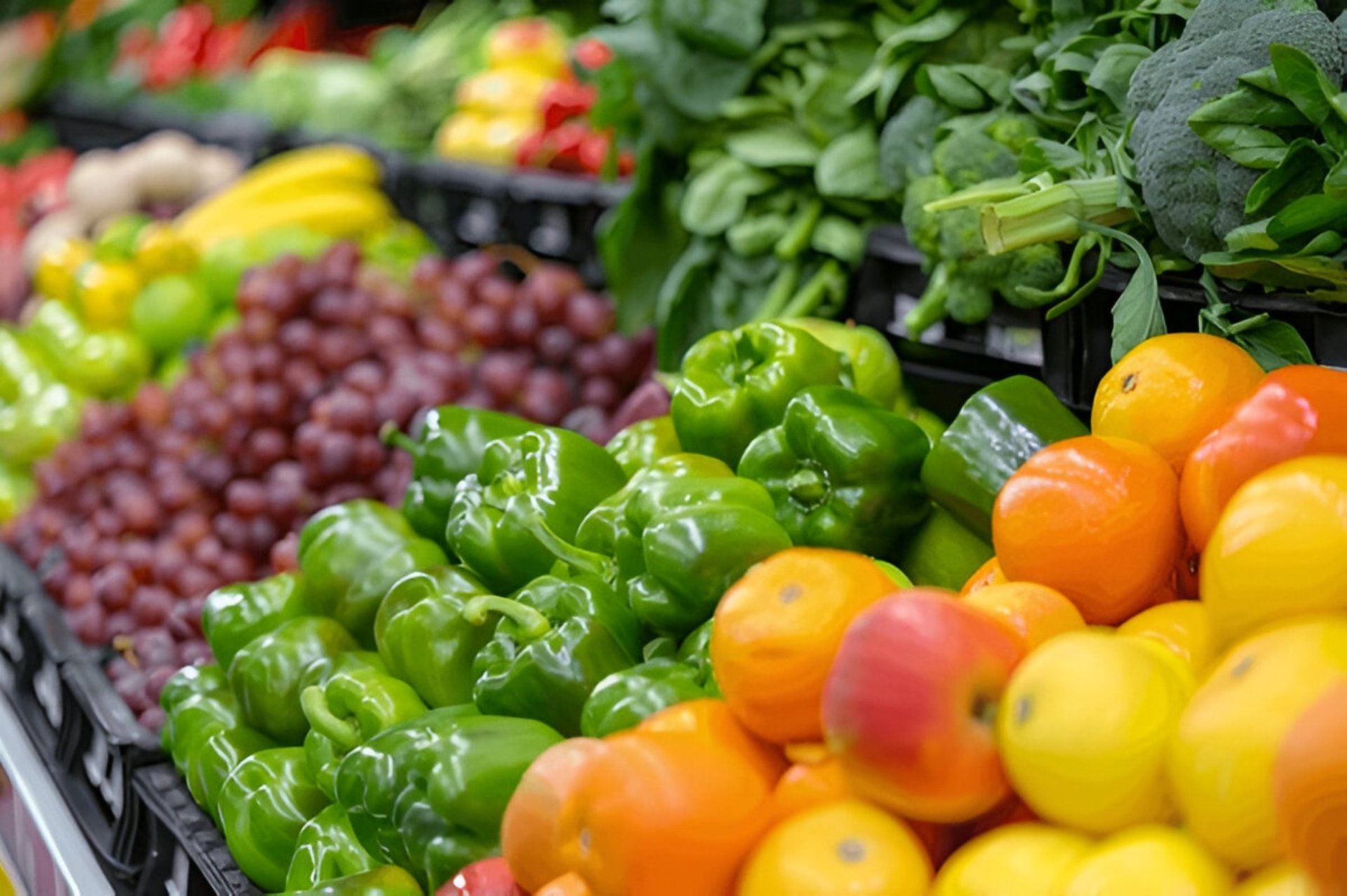 Fresh produce display at Ben Brown Foods